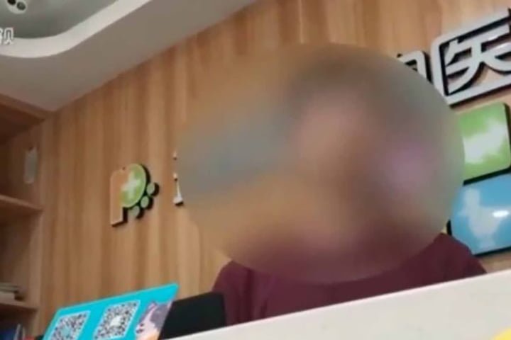 Mujer realiza cirugía plástica a su gato