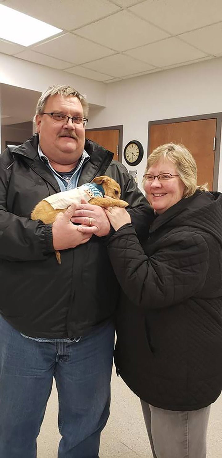 Nueva familia de Louie Nueva familia de Louie