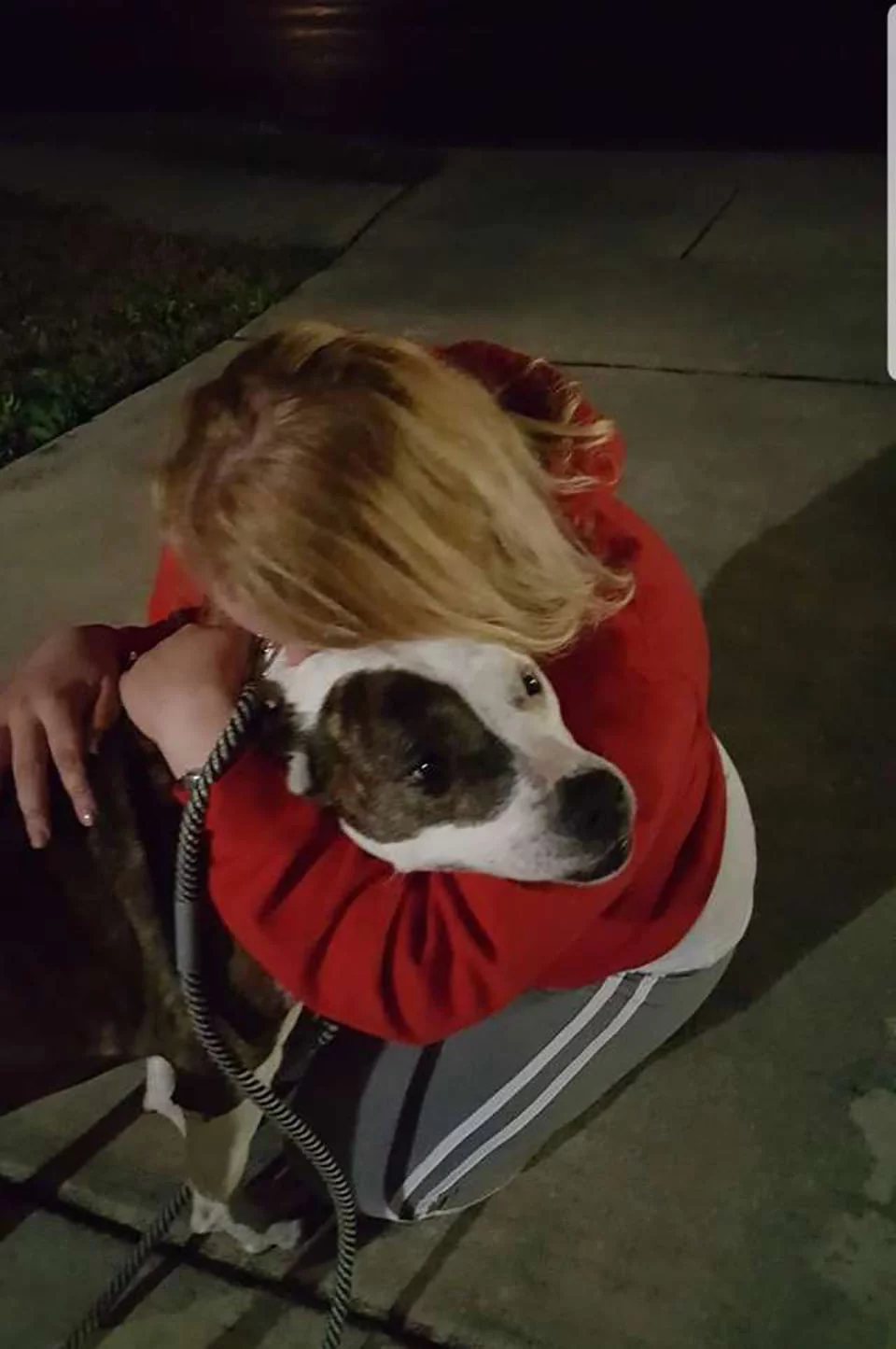 Perrita estraviada se encuentra con su madre humana