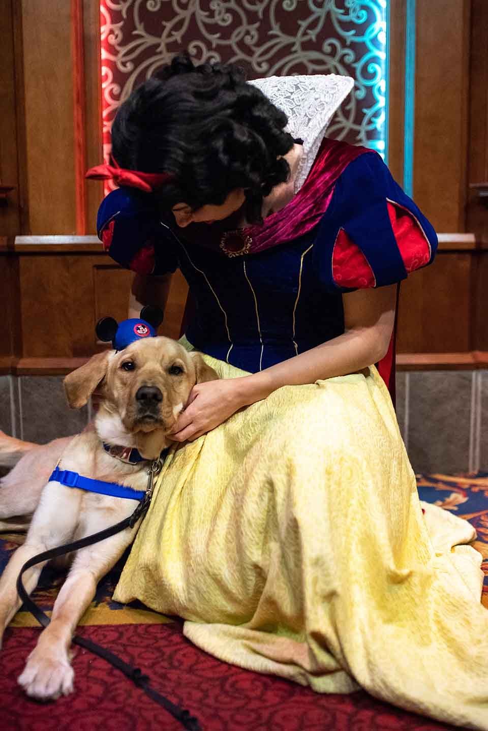 Perrito adorable visita Disneyland y se encuentra con sus personajes favoritos 14 Perro conoce personaje favorito