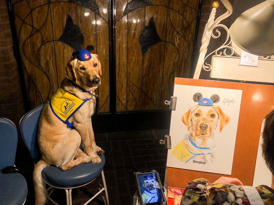 Perrito adorable visita Disneyland y se encuentra con sus personajes favoritos 13 Perro retrato