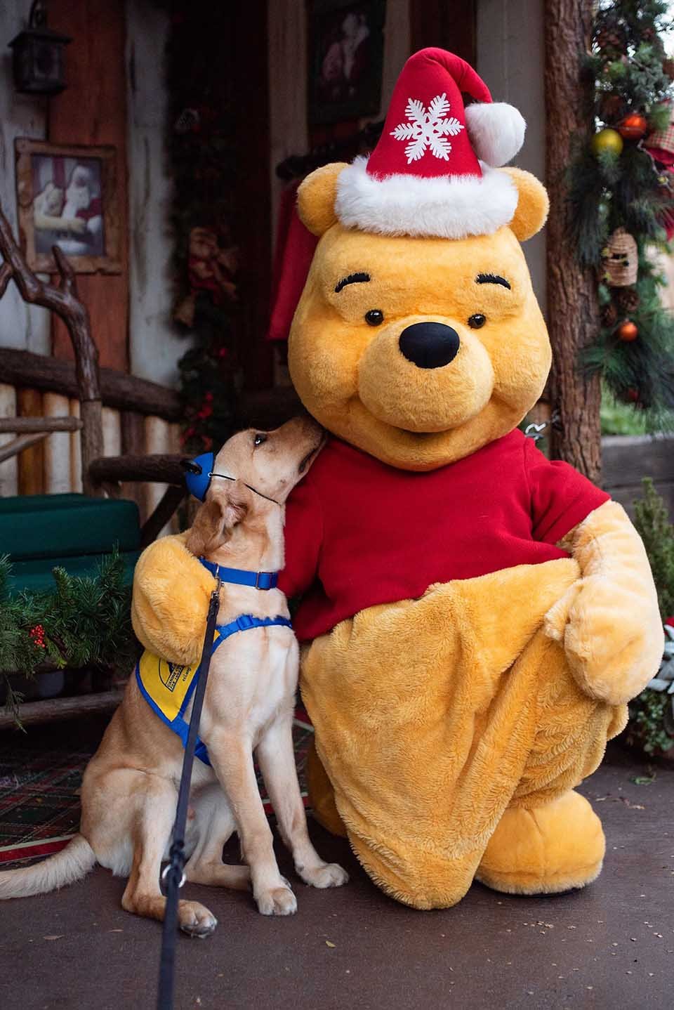 Perrito adorable visita Disneyland y se encuentra con sus personajes favoritos 11 Perro y personaje Winnie Pooh