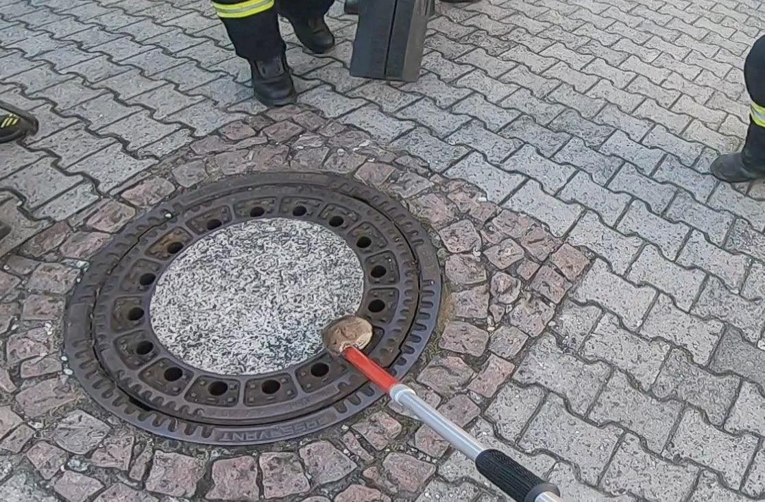 Rescate de rata gordita Rescate de rata gordita