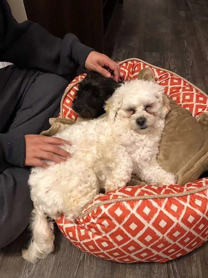 Toby y Charlie