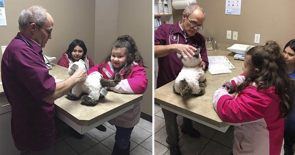Veterinario atiende a gato de peluche de niña autista