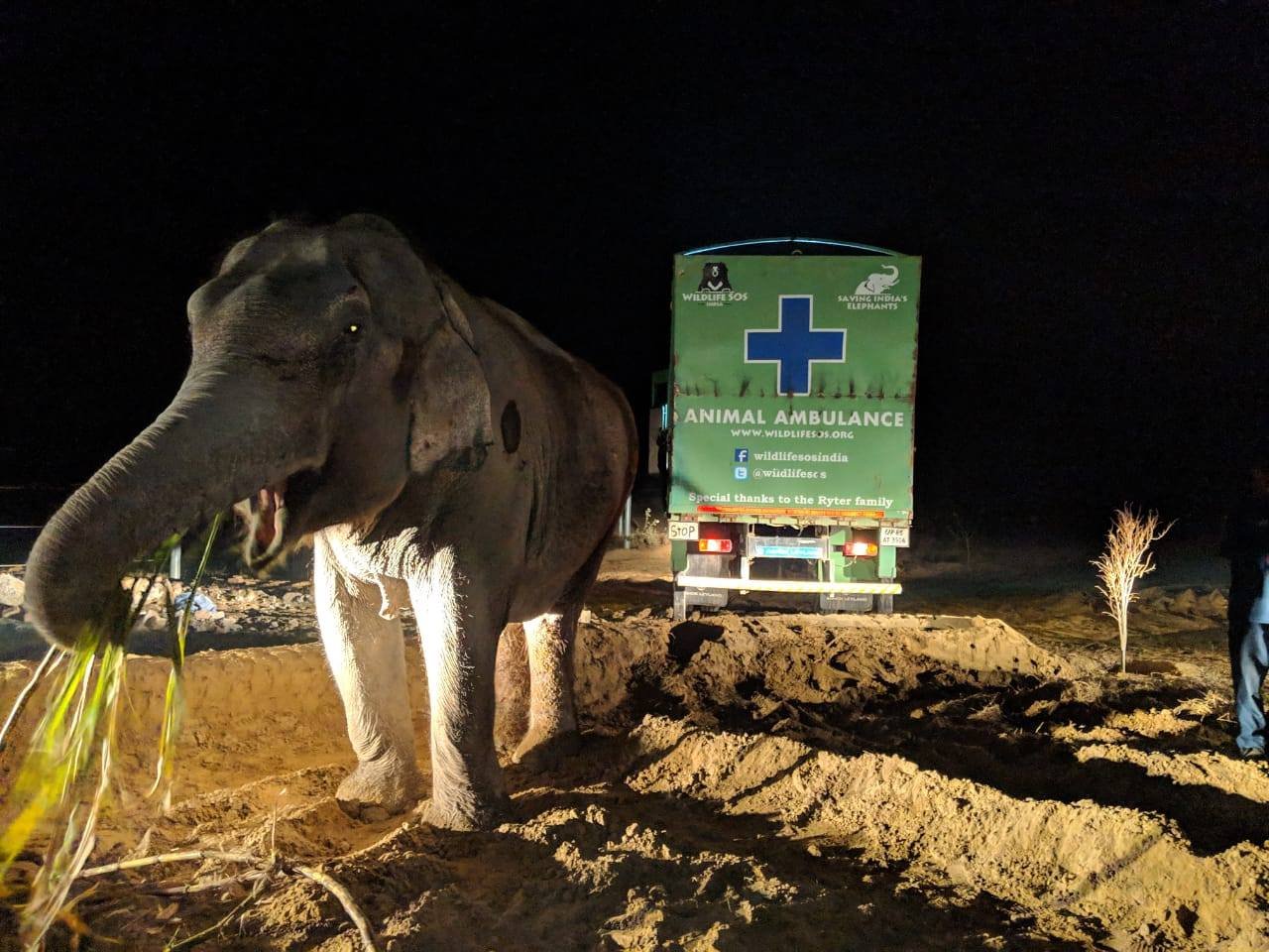 Ambulancia para elefantes Ambulancia para elefantes