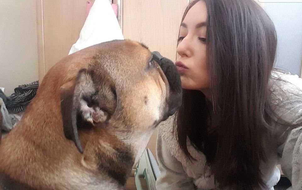 Perro dramático finge morir como protesta al no llevarlo por su ruta favorita para pasear 11 Begbie y su mamá