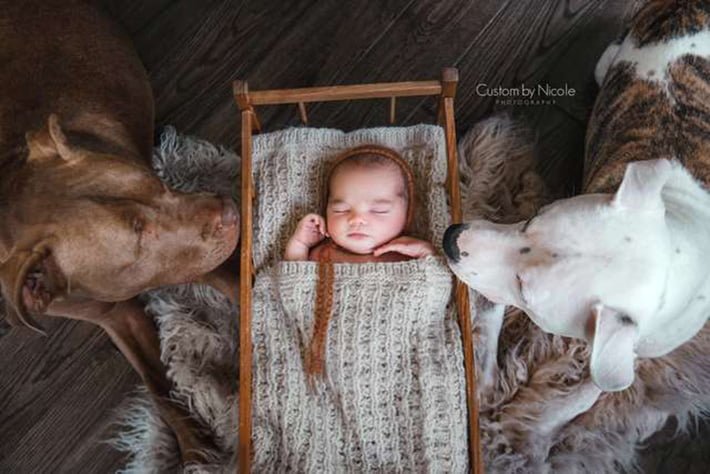 Dawson con sus perros Dawson con sus perros