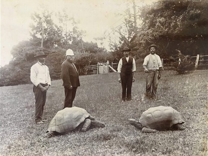 Animal Más Antiguo Del Mundo Vivo