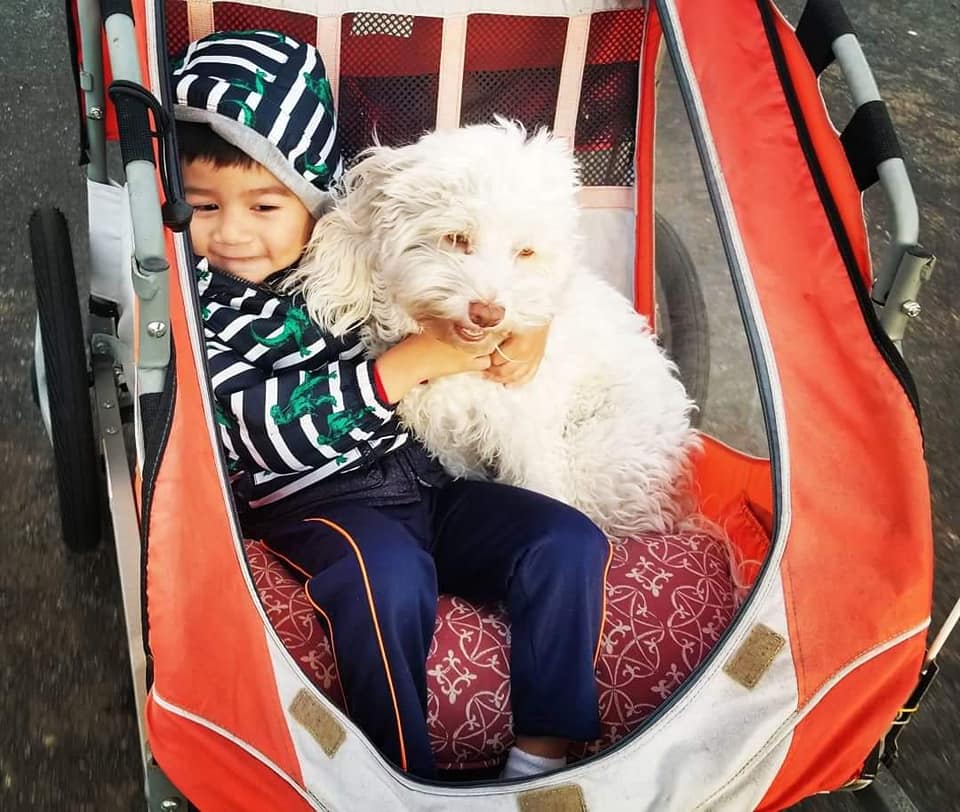 Niño y Pupa Niño y Pupa