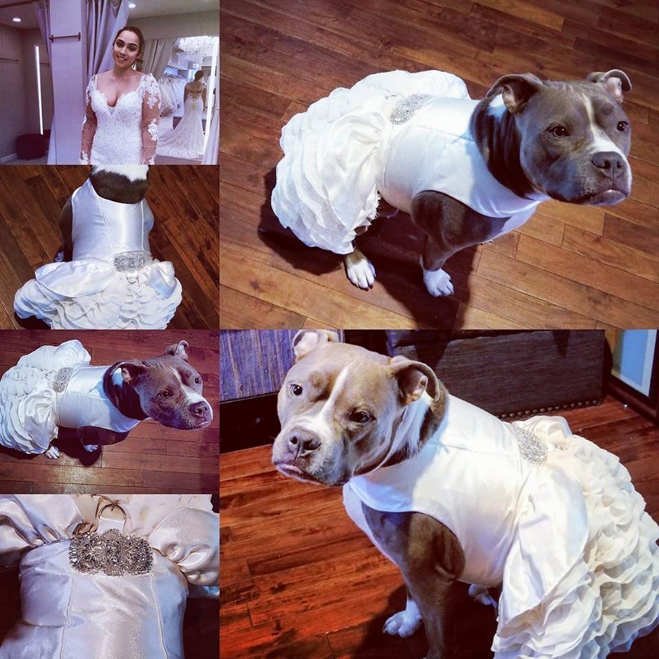 Vestido de novia Vestido de novia