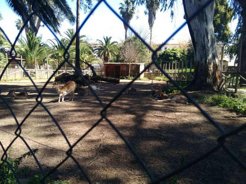 Zoo de España cerrado