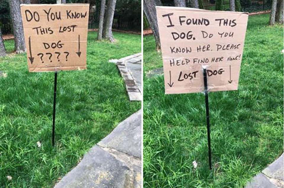 Hombre sostuvo un letrero de "perro perdido" en la calle hasta encontrar a su familia 13 avisos hecho por hombre que encontro perrita perdida