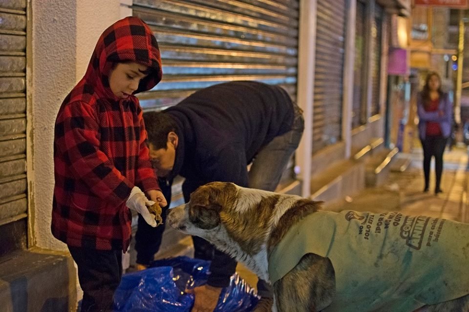Hombre dejó su exitoso trabajo para alimentar a animales que habitan en la calle 16 Hombre brinda ayuda a perro que vive en la calle
