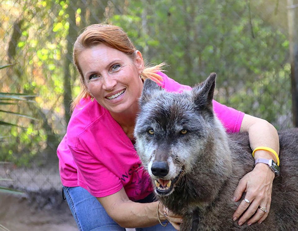 Hombre abandonó a su perro lobo en un refugio para que lo sacrificaran, pero un santuario lo salvó 18 mujer abraza perro lobo en santuario
