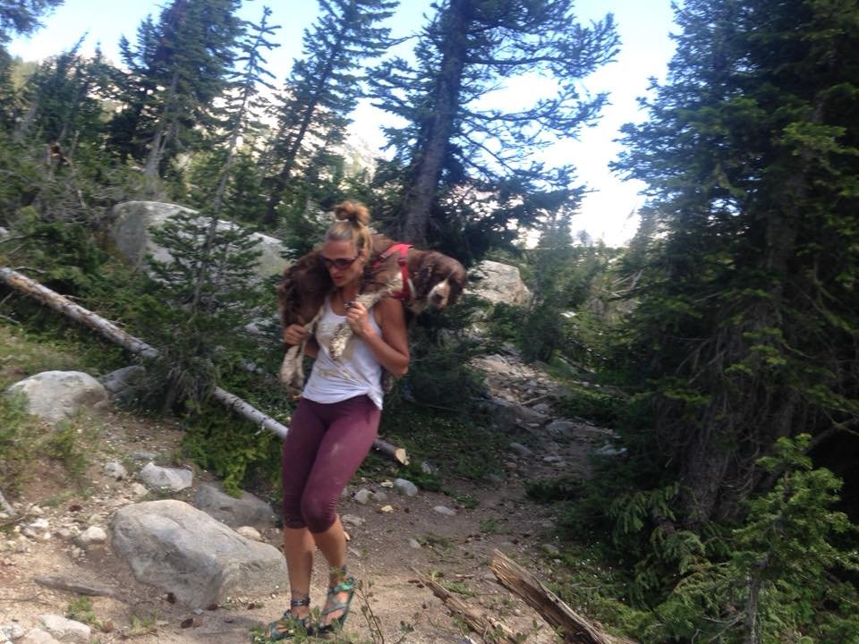 Mujer encontró a un perro herido en una montaña y bajó con él sobre sus hombros 13 Mujer alza a perro herido desde la montaña