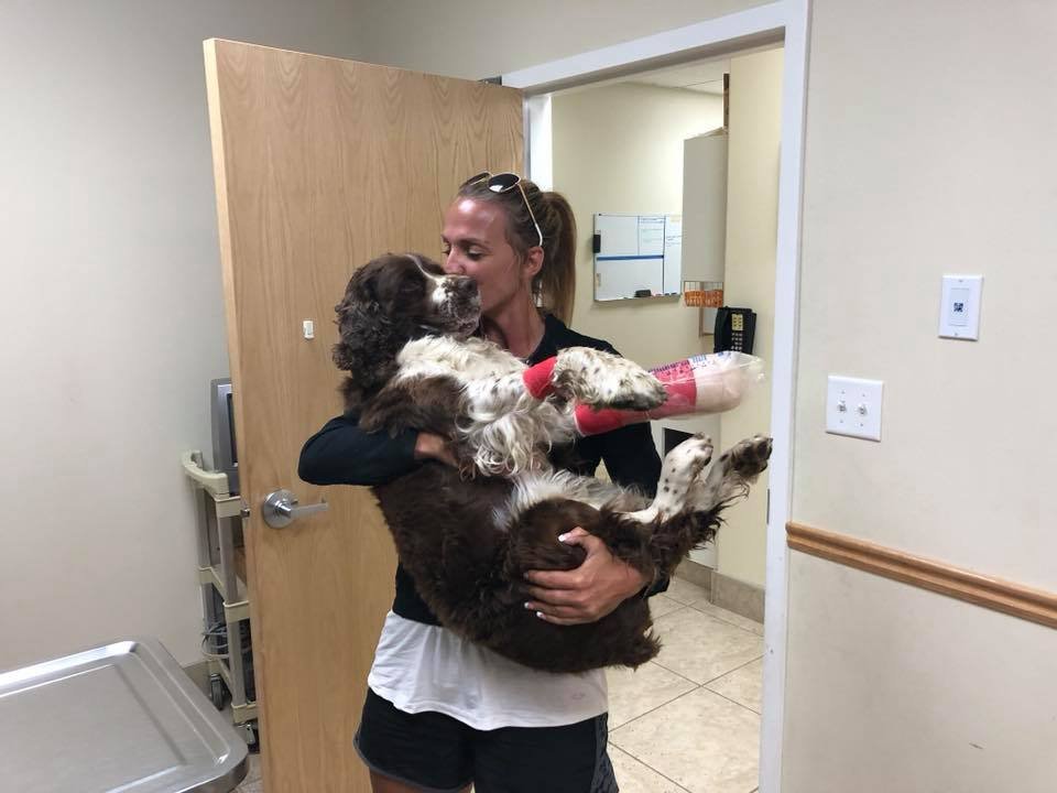 Mujer encontró a un perro herido en una montaña y bajó con él sobre sus hombros 21 Mujer sostiene perrito en veterinaria