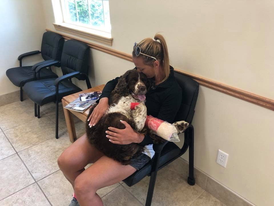 Mujer encontró a un perro herido en una montaña y bajó con él sobre sus hombros 22 Mujer y perrito en sala de espera