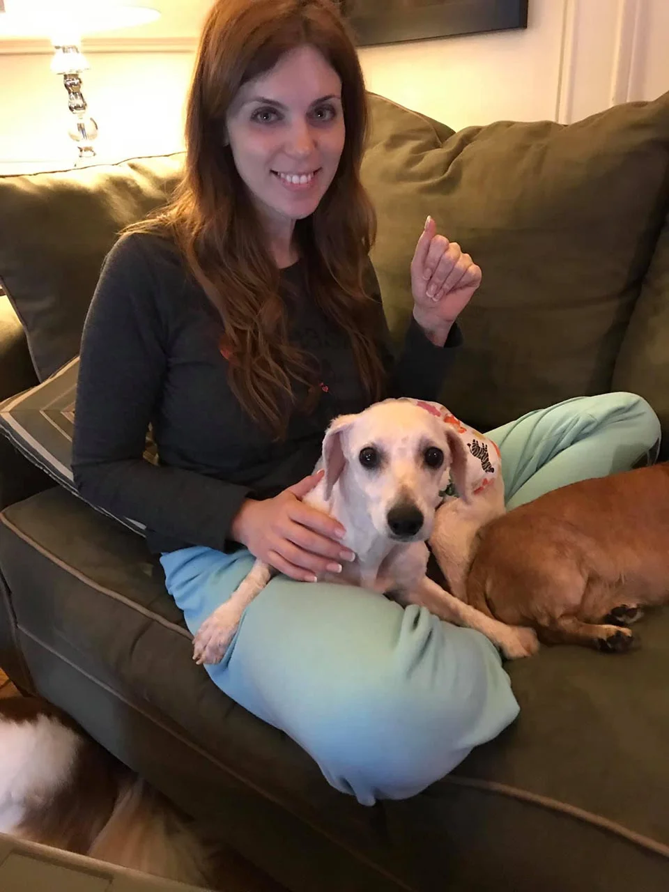 Perrito rescatado de un criadero ni siquiera sabía cómo dormir acostado 4 perrito ha sido protegido