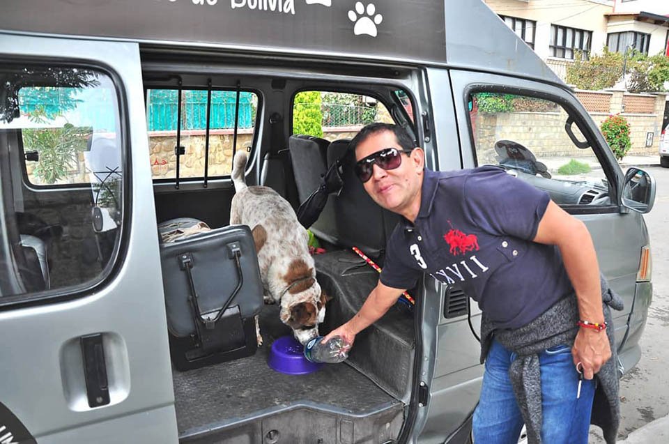 Hombre dejó su exitoso trabajo para alimentar a animales que habitan en la calle 24 Perro en minibus