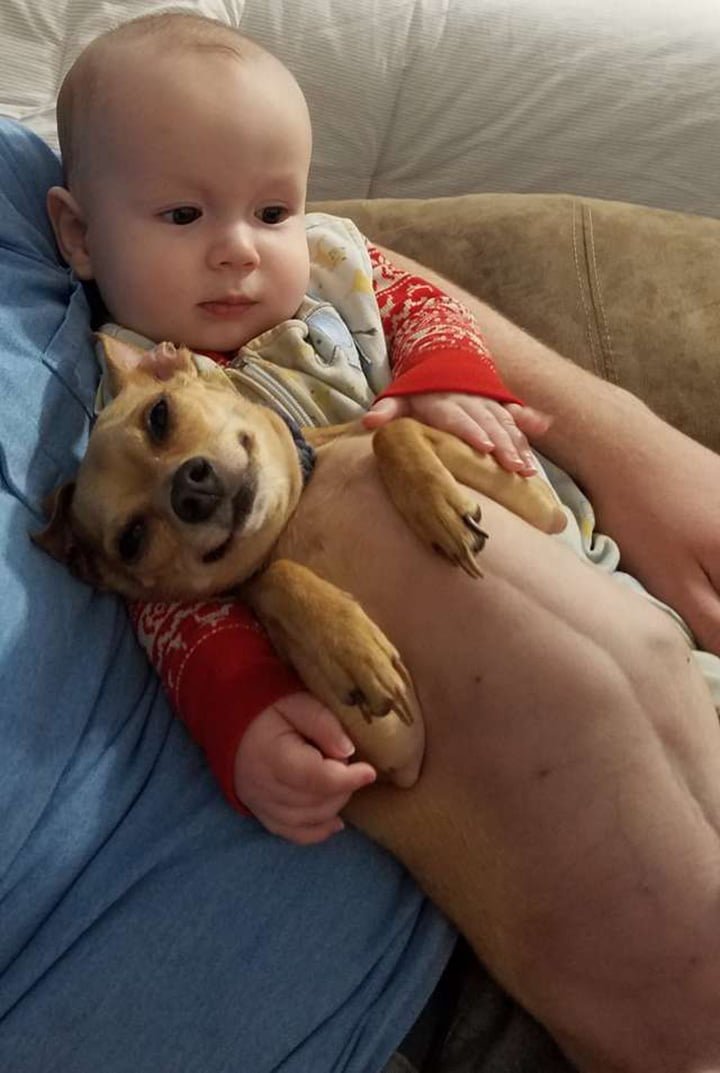 Baja y su hermanito Baja y su hermanito