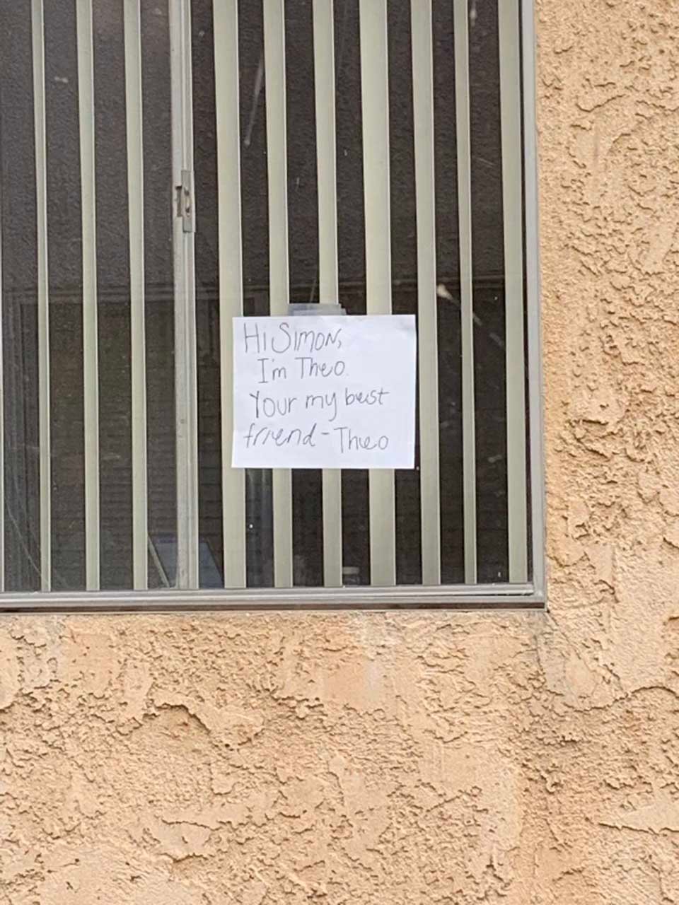 Estos dos gatos se ven a través de la ventana y se convierten en los mejores amigos 9 Cartel con respuesta