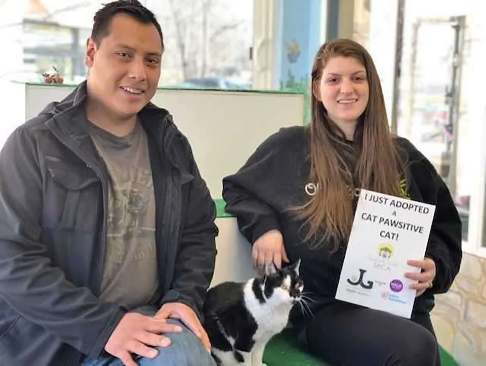 Gatita mayor tiene un hogar