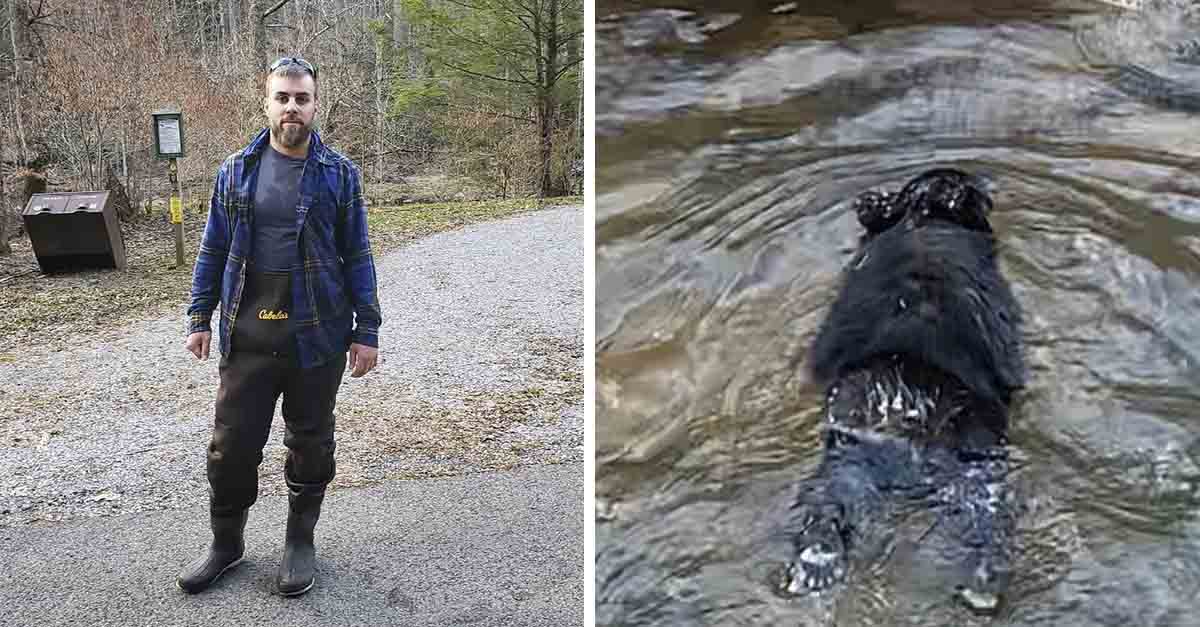 Hombre salta a un río congelado para salvar a un osito que se ahogaba 1 Hombre salta a río congelado y salva a un pequeño oso que se ahogaba