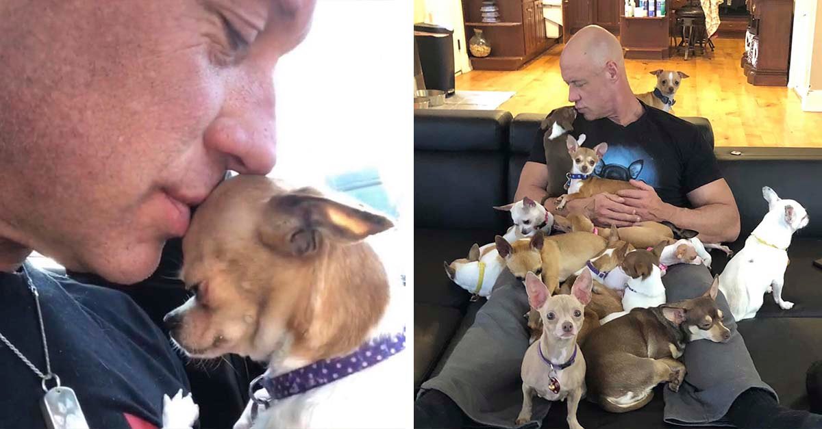 Hombre solía burlarse de los perritos falderos hasta que conoció a uno