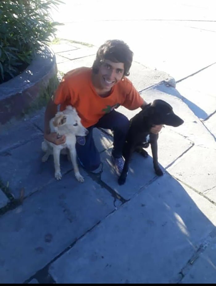 Lucas y sus perros Lucas y sus perros