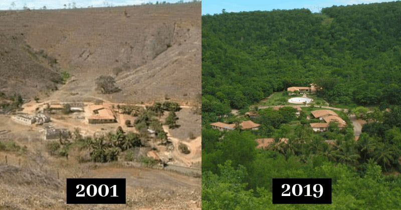 Pareja reforesta un bosque destruido plantando 2 millones de árboles