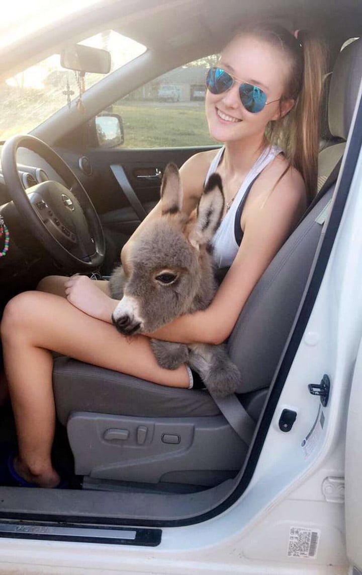 Payton y Jack en el auto