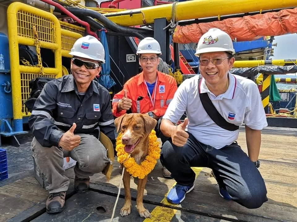Trabajadores y perrito con collar de flores