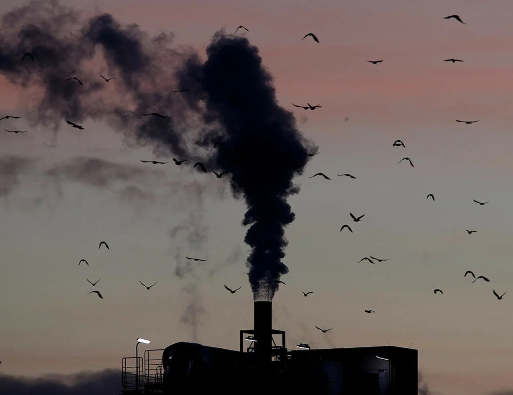 Contaminación ambiental Contaminación ambiental