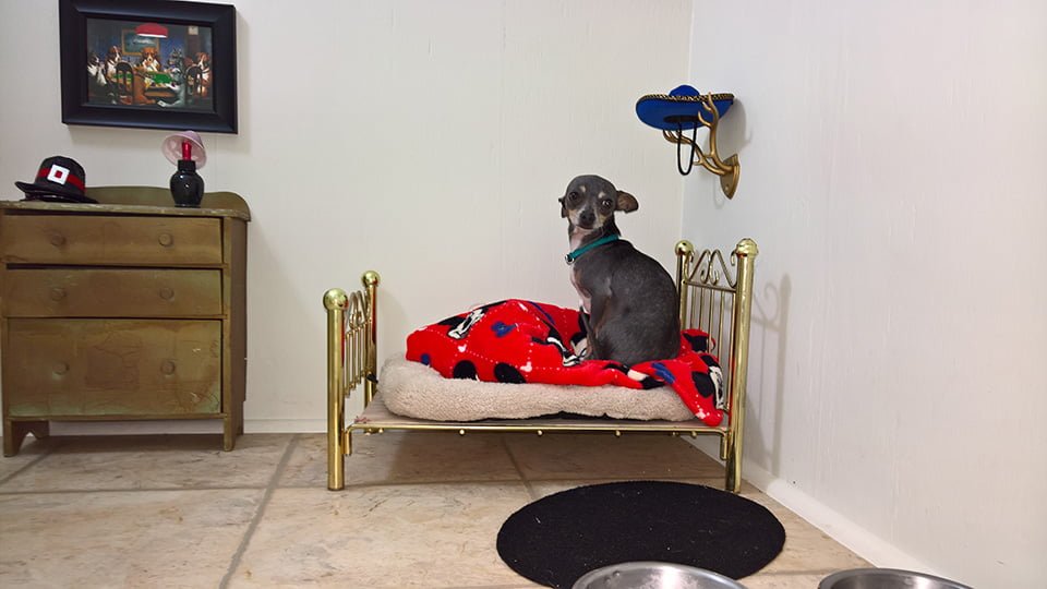 Habitación de Poncho