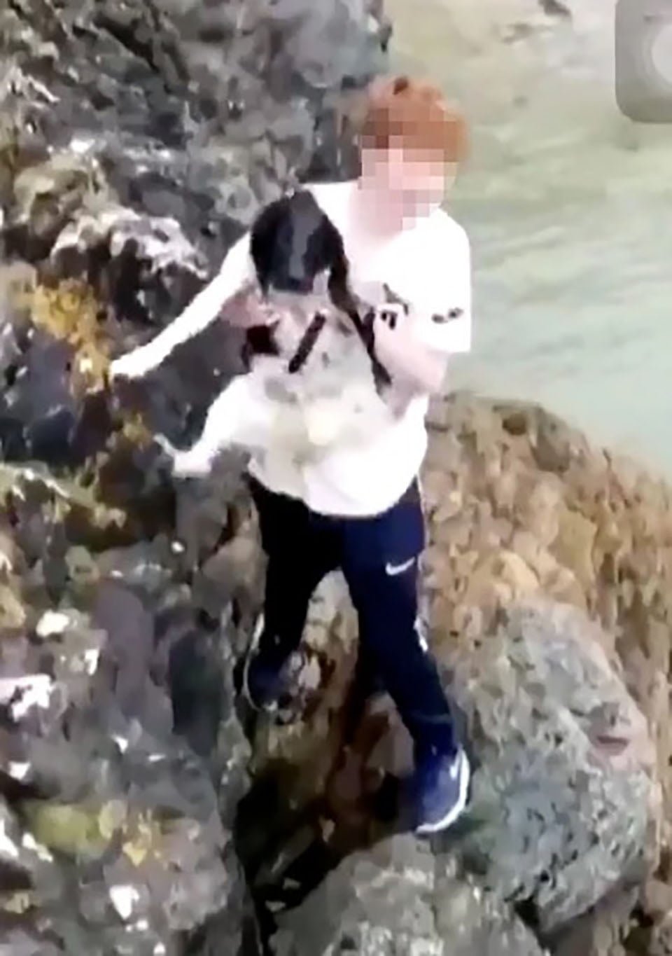Hombre sostiene a perro para lanzarlo desde un acantilado
