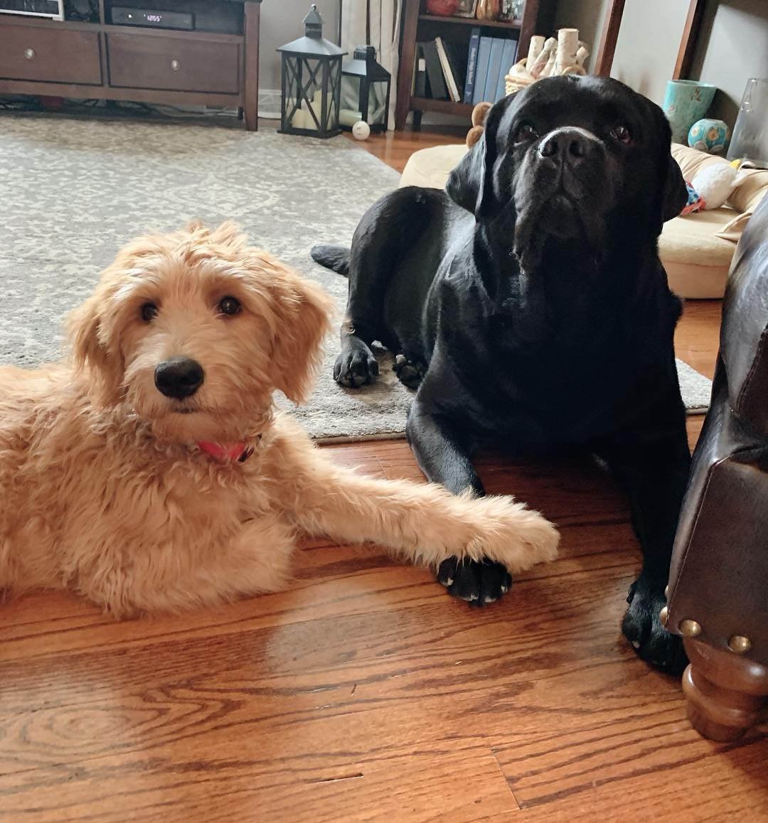 Leo y su hermano Leo y su hermano