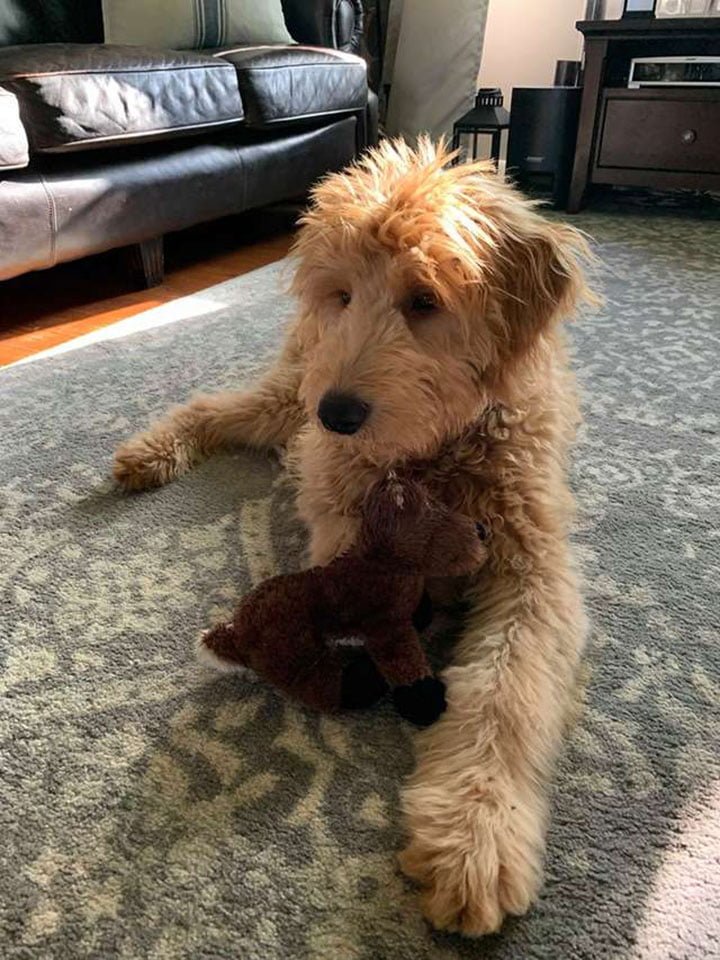 Leo y su peluche Leo y su peluche