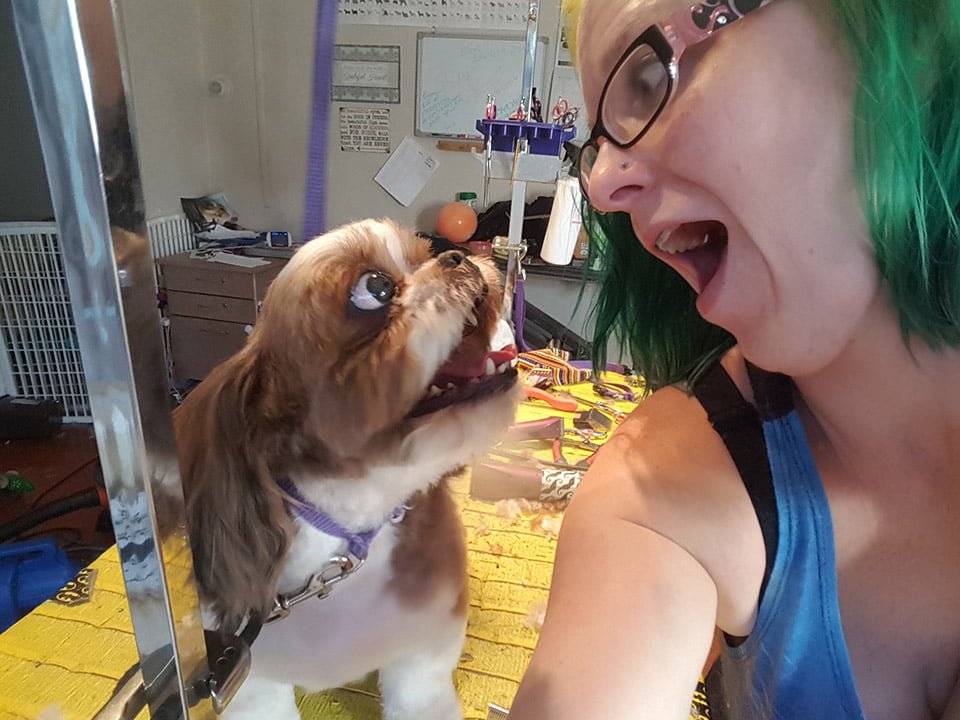 Muffin feliz en la peluquería