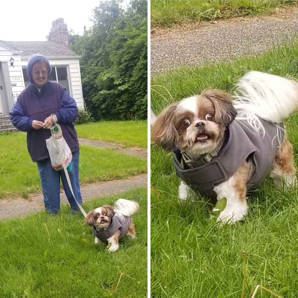 Muffin y su dueño