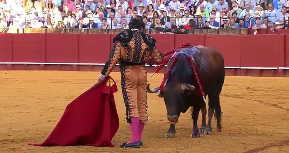 Torero limpiando la cara al toro