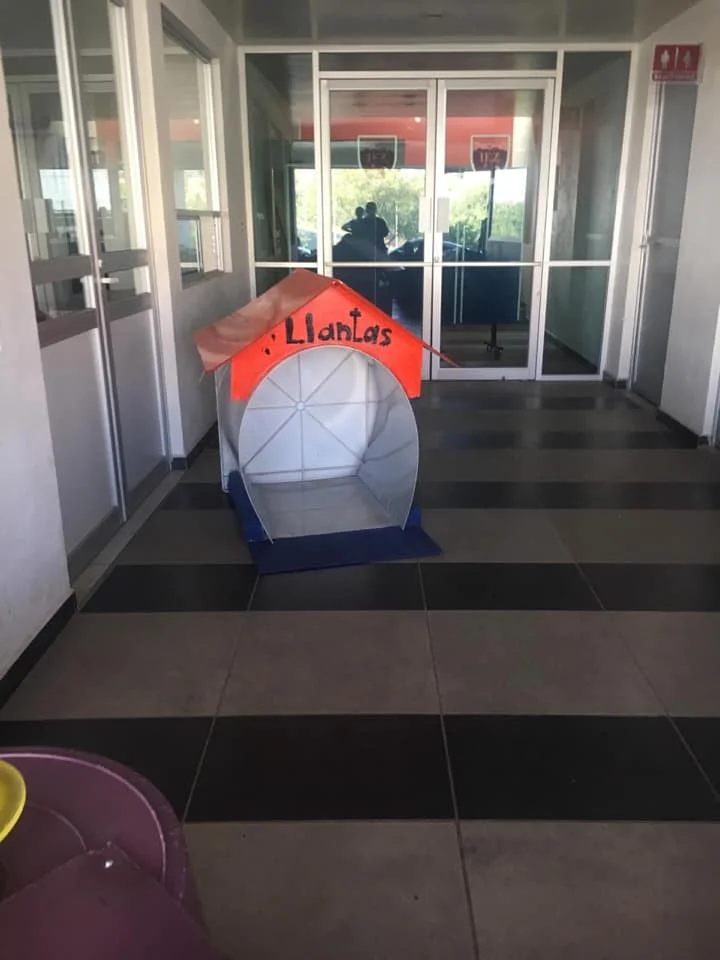 Casitas para perros sin hogar