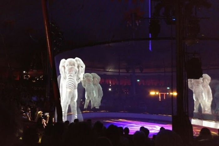 Hologramas de animales
