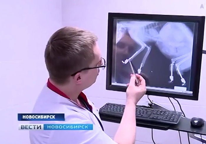 Medico cirujano Medico cirujano