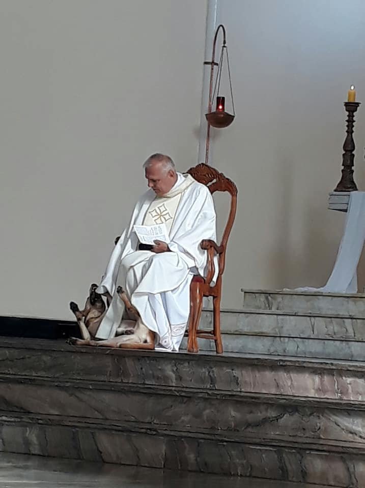 Padre con el perro Padre con el perro