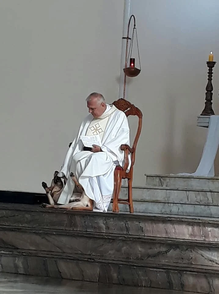 Padre con el perro Padre con el perro