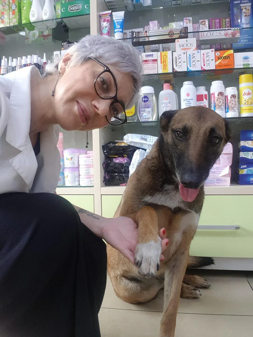 Perrita agradece ser curada