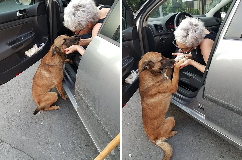 Perrita agradecida
