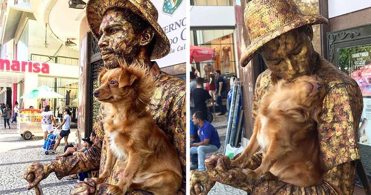 Perrita ayuda a un artista callejero con su acto