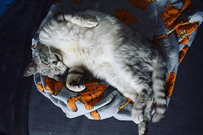 Toby feliz